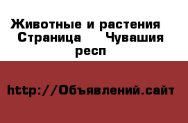  Животные и растения - Страница 2 . Чувашия респ.